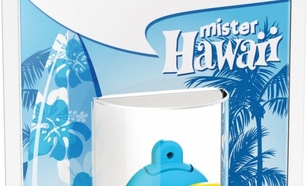 EMTEC Pendrive 8GB Smilley World Mr Hawaii B SW109