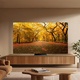 TCL 65C8L