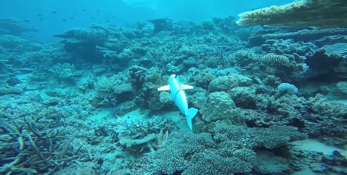 Robo-ryba pomoże odkryć tajemnice mórz i oceanów