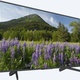 Sony BRAVIA KD-49XF7005
