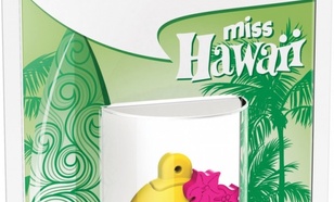 EMTEC Pendrive 8GB Smilley World Miss Hawaii Y