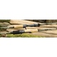 St.Croix Eyecon Trolling Rods ECT70MM