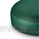 Bang & Olufsen Beosound A1 2nd Gen (green)