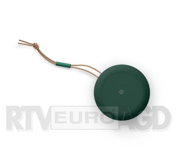 Bang & Olufsen Beosound A1 2nd Gen (green)