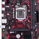 Asus EX-B365M-V (90MB10Y0-M0EAYM)