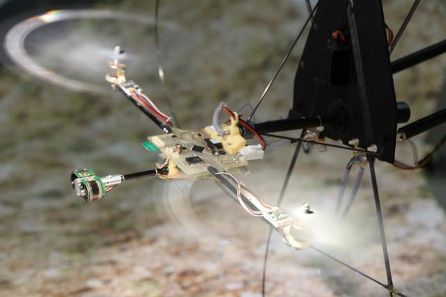 Dron Niczym Owad