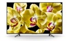 Sony KD-43XG8096