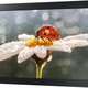 Samsung 10'' DB10E-TPOE LH10DBEPPBB/EN