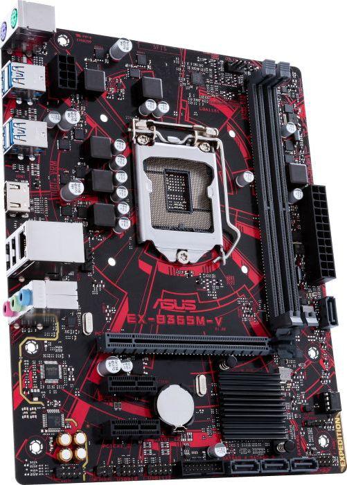 Asus EX-B365M-V (90MB10Y0-M0EAYM)