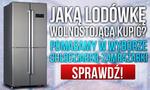 Jaką Lodówkę Wolnostojącą Kupić? Pomagamy w Wyborze Chłodziarko-Zamrażarki