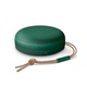 Bang & Olufsen Beosound A1 2nd Gen (green)