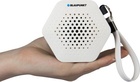 Blaupunkt SRB 10 (11087)