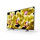 Sony KD-49XG8096