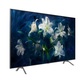 Samsung QLED QE55Q8DNA