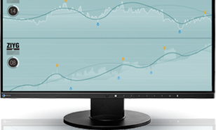 Eizo FlexScan EV2450 [czarny]
