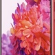 Samsung Galaxy S20 FE 6/128GB Dual SIM Czerwony (SM-G780GZRDEUE)