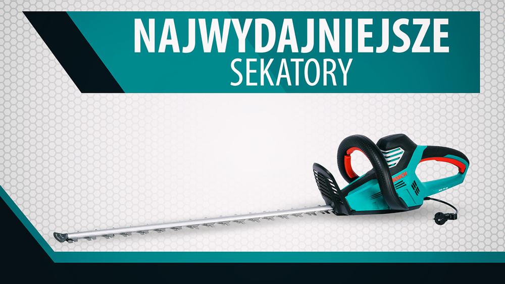 Najwydajniejsze elektryczne nożyce do żywopłotu |TOP 5|