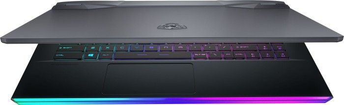 MSI GE66 Raider 11UH-215PL