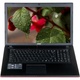 MSI GE70 2PE (Apache Pro) 677XPL i5-4210 8GB 17,3" FullHD 1TB GTX860M (2GB) BSY