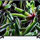Sony KD-49XG7096 LED 49" 4K (Ultra HD) Linux