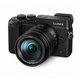 Panasonic Lumix DMC-GX8