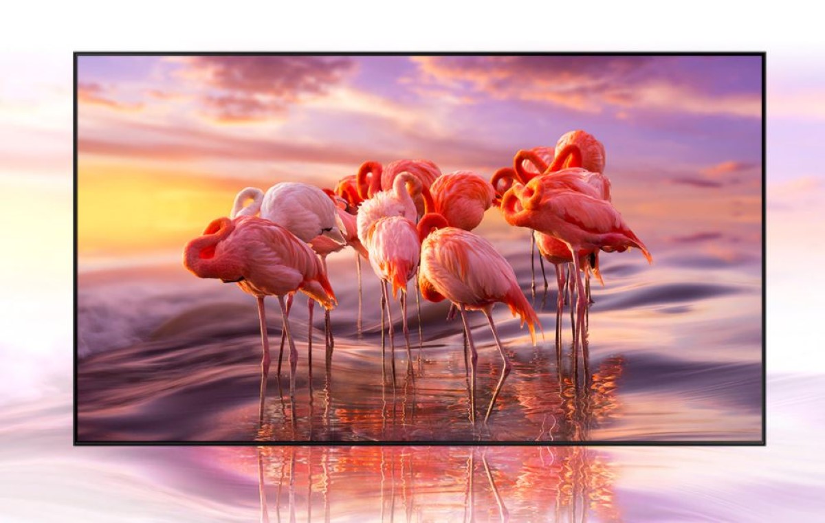 Flamingi na ekranie Samsung QE55Q80A