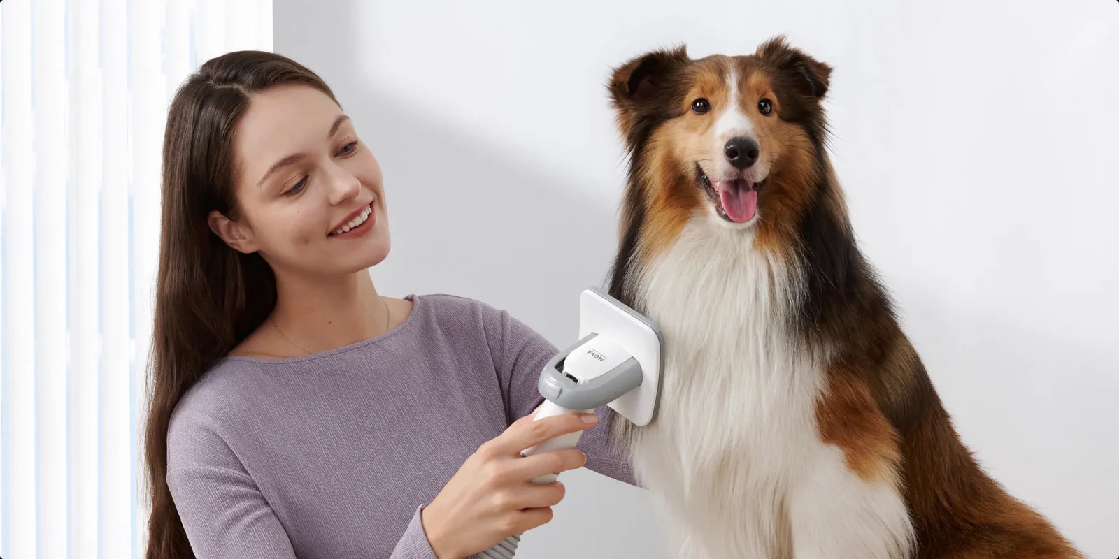 zestaw do pielęgnacji zwierząt Mova