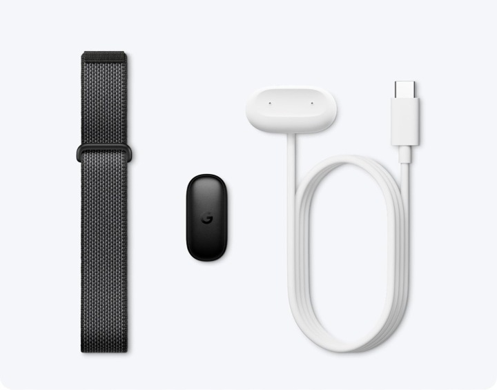 Google Fitbit Air smartopaska